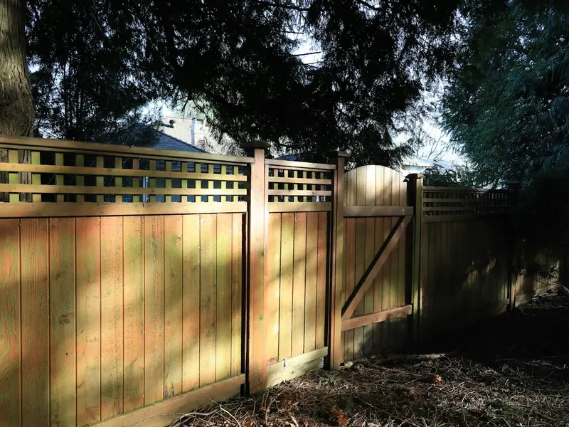 Capped timber paling fence with lattice top and gate