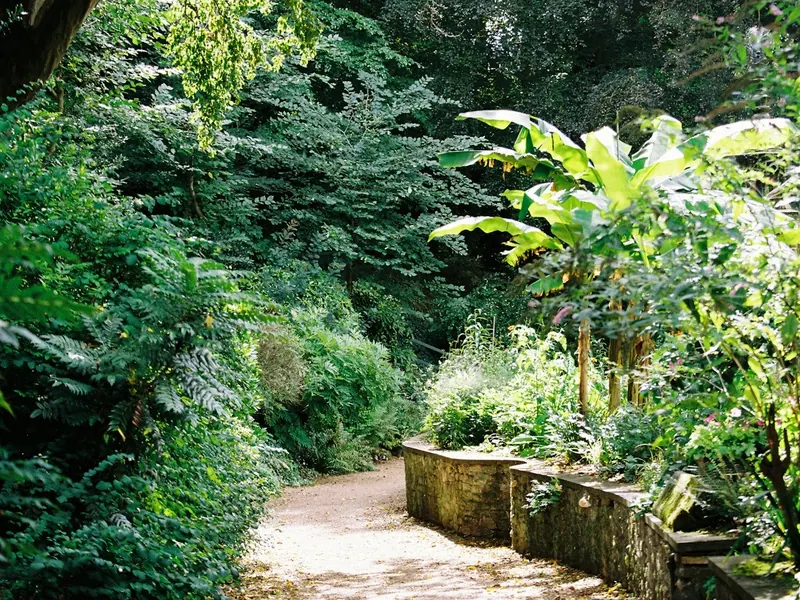 Landscaped garden path with low stone retaining wall